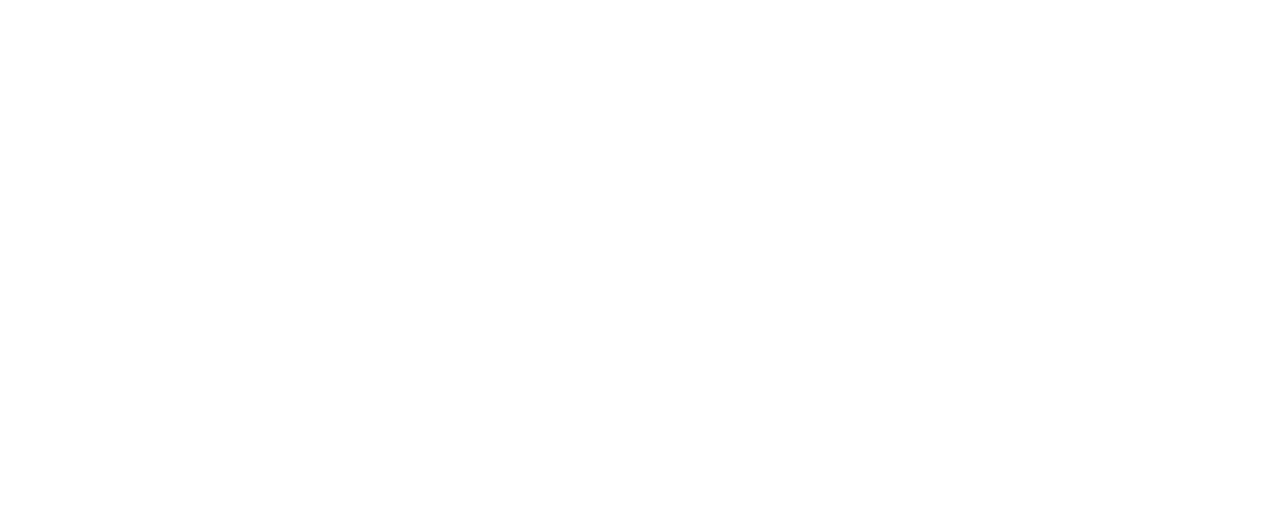 NaFlo Logo